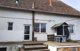 Casa mare, solida, cu teren mult de vanzare in Biled!