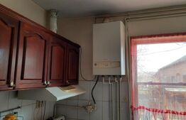 Casa mare, solida, cu teren mult de vanzare in Biled!