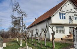 Casa mare, solida, cu teren mult de vanzare in Biled!