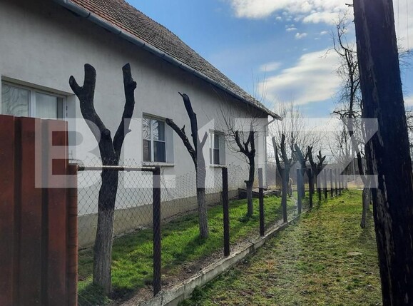 Casa de vânzare 4 camere Exterior Nord - 140076CV | BLITZ Timișoara | Poza3