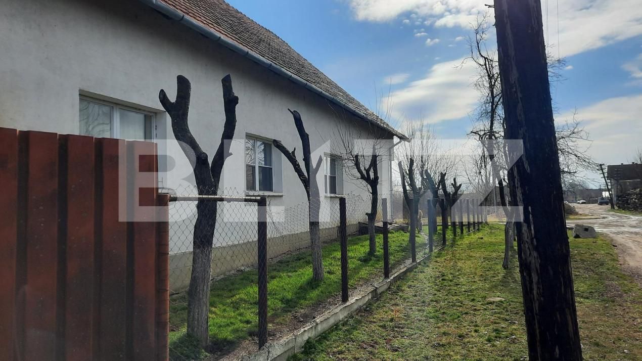 Casa de vânzare 4 camere Exterior Nord - 140076CV | BLITZ Timișoara | Poza3