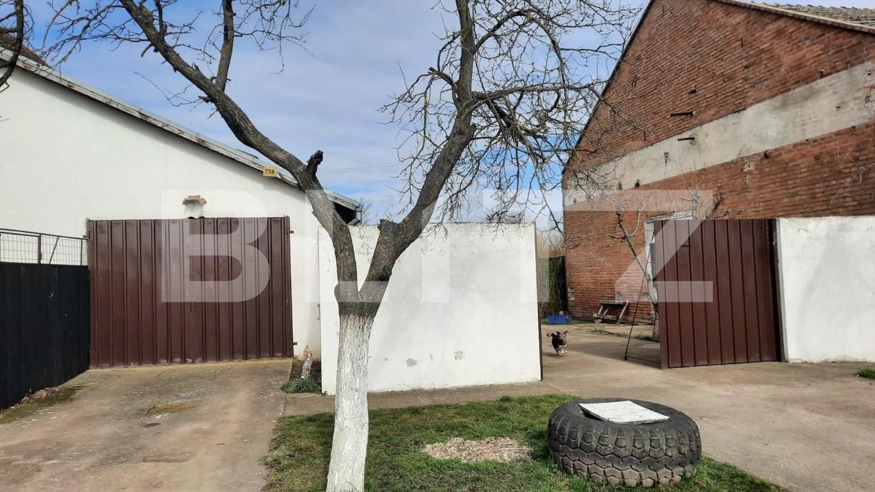 Casa de vânzare 4 camere Exterior Nord - 140076CV | BLITZ Timișoara | Poza5