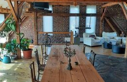 Vila de lux, zona foarte buna, pozitionata excelent, centrul Timisoarei