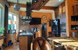 Vila de lux, zona foarte buna, pozitionata excelent, centrul Timisoarei