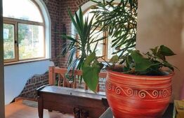 Vila de lux, zona foarte buna, pozitionata excelent, centrul Timisoarei