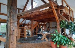 Vila de lux, zona foarte buna, pozitionata excelent, centrul Timisoarei