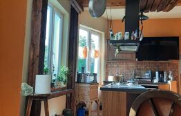 Vila de lux, zona foarte buna, pozitionata excelent, centrul Timisoarei