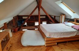 Vila de lux, zona foarte buna, pozitionata excelent, centrul Timisoarei