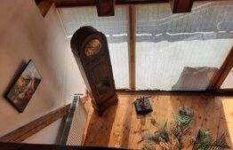 Vila de lux, zona foarte buna, pozitionata excelent, centrul Timisoarei