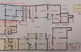  Apartament, curte, 2 camere, 65mp, Iosefin