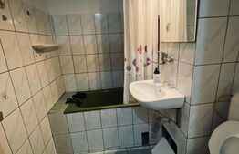 Garsoniera decomandata, 23 mp, zona Freidorf