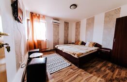 Ocazie, Vilă-Pensiune în zona Mehala