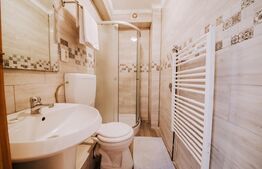 Ocazie, Vilă-Pensiune în zona Mehala