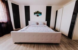 Ocazie, Vilă-Pensiune în zona Mehala