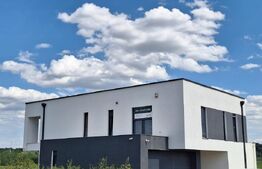 Vila lux, superba, 7 camere, 270mp, Ghiroda