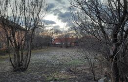 Casa mare cu etaj si teren mult, excelent pozitionata in Ghiroda!