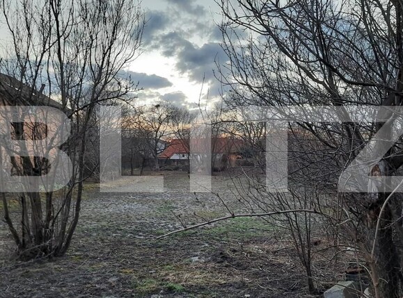 Casa de vânzare 8 camere Ghirodei - 140091CV | BLITZ Timișoara | Poza12