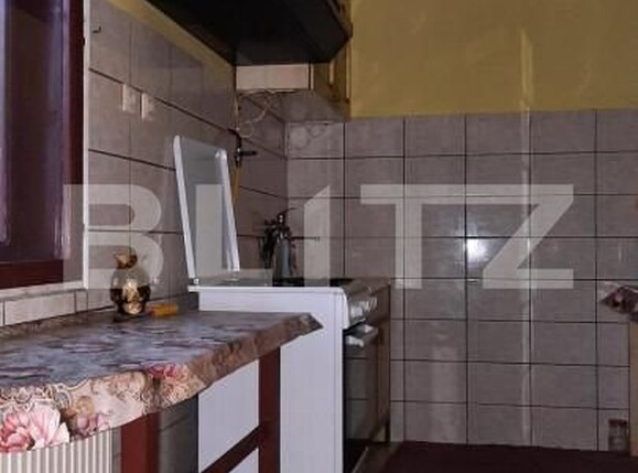 Casa de vânzare 8 camere Ghirodei - 140091CV | BLITZ Timișoara | Poza11