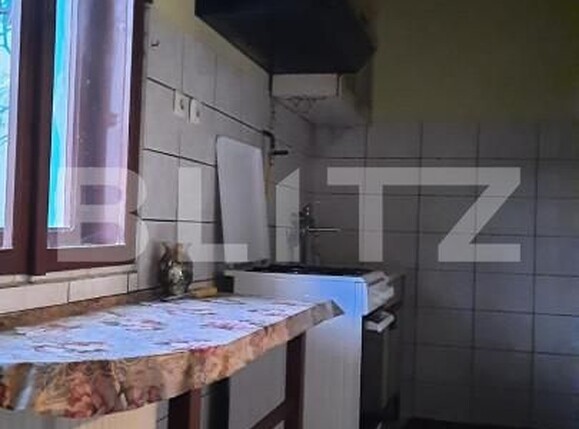 Casa de vânzare 8 camere Ghirodei - 140091CV | BLITZ Timișoara | Poza7