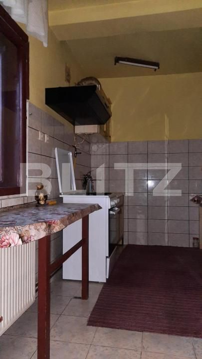 Casa de vânzare 8 camere Ghirodei - 140091CV | BLITZ Timișoara | Poza11