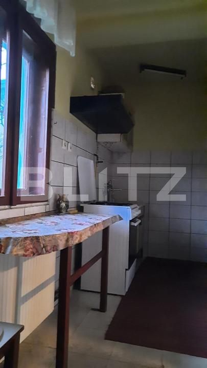 Casa de vânzare 8 camere Ghirodei - 140091CV | BLITZ Timișoara | Poza7