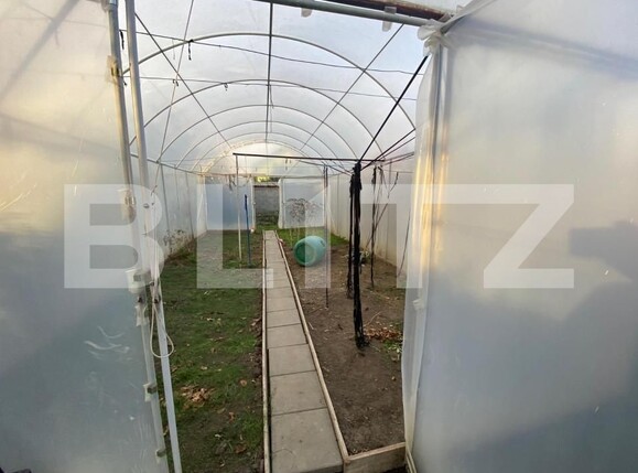 Casa de vânzare 3 camere Sagului - 140100CV | BLITZ Timișoara | Poza2