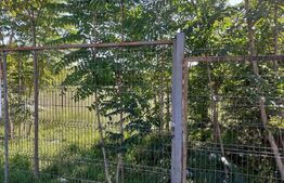 Teren intravilan de 957 mp în zona Gării de Nord