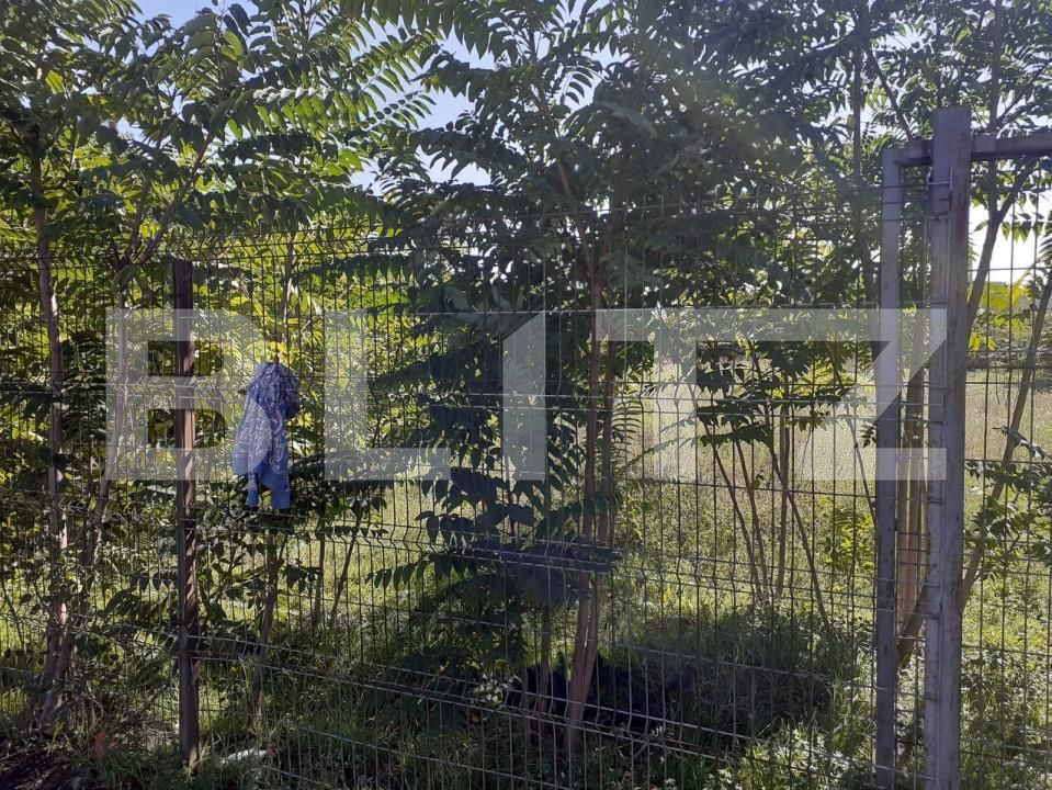 Teren de vânzare Iosefin - 140101TV | BLITZ Timișoara | Poza2