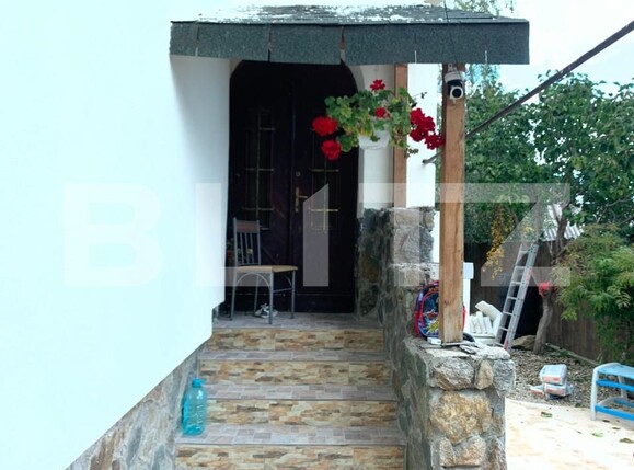 Casa de vânzare 6 camere Lipovei - 140105CV | BLITZ Timișoara | Poza3