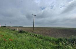 Teren intravilan, arabil, 39 ha, Sanmartinul Sarbesc