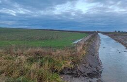 Teren intravilan, arabil, 39 ha, Sanmartinul Sarbesc