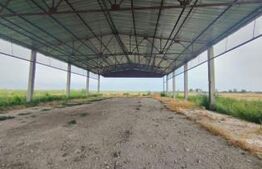 Teren intravilan, arabil, 39 ha, Sanmartinul Sarbesc