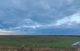 Teren intravilan, arabil, 39 ha, Sanmartinul Sarbesc