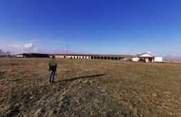 Teren intravilan, arabil, 39 ha, Sanmartinul Sarbesc