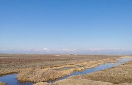 Teren intravilan, arabil, 39 ha, Sanmartinul Sarbesc