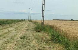 Teren intravilan, arabil, 39 ha, Sanmartinul Sarbesc