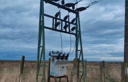 Teren intravilan, arabil, 39 ha, Sanmartinul Sarbesc