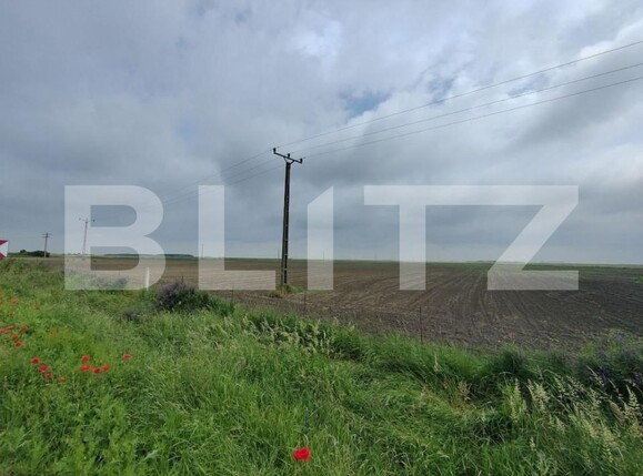 Teren de vânzare Exterior Sud - 140111TV | BLITZ Timișoara | Poza5
