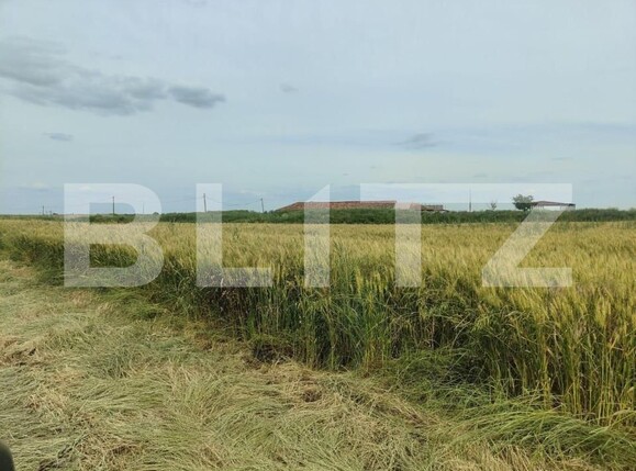 Teren de vânzare Exterior Sud - 140111TV | BLITZ Timișoara | Poza22