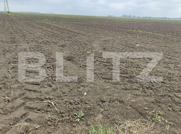 Teren de vânzare Exterior Sud - 140111TV | BLITZ Timișoara | Poza16