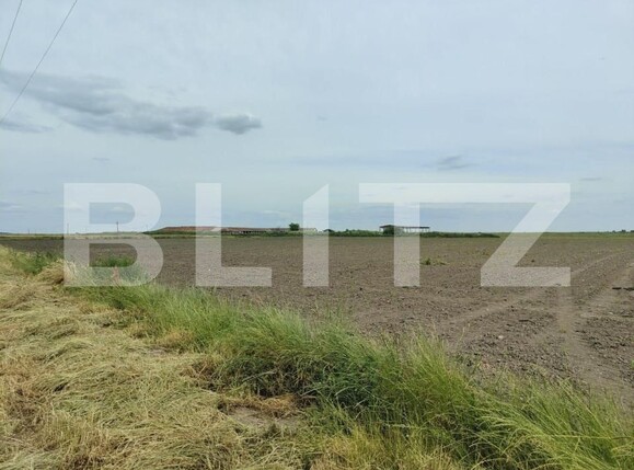 Teren de vânzare Exterior Sud - 140111TV | BLITZ Timișoara | Poza20