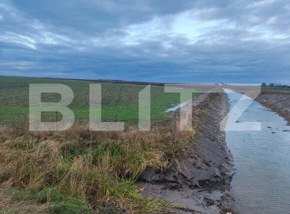 Teren de vânzare Exterior Sud - 140111TV | BLITZ Timișoara | Poza23