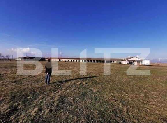 Teren de vânzare Exterior Sud - 140111TV | BLITZ Timișoara | Poza1