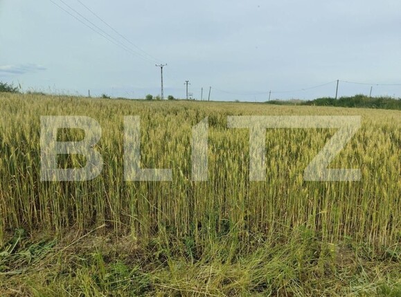 Teren de vânzare Exterior Sud - 140111TV | BLITZ Timișoara | Poza11