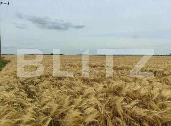 Teren de vânzare Exterior Sud - 140111TV | BLITZ Timișoara | Poza17