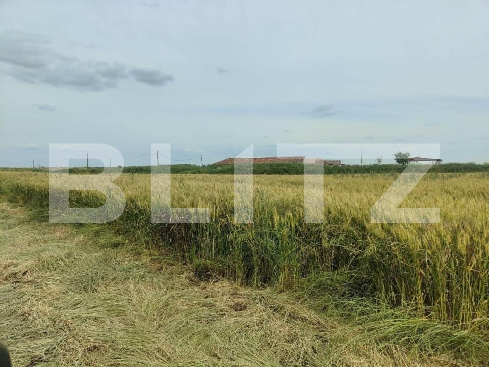 Teren de vânzare Exterior Sud - 140111TV | BLITZ Timișoara | Poza22