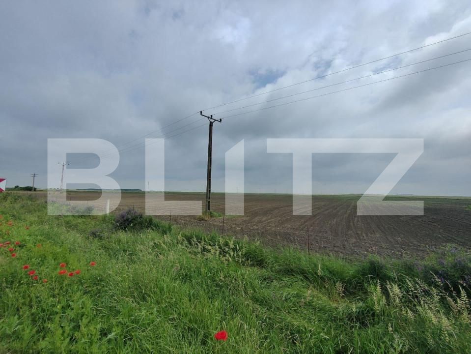 Teren de vânzare Exterior Sud - 140111TV | BLITZ Timișoara | Poza5