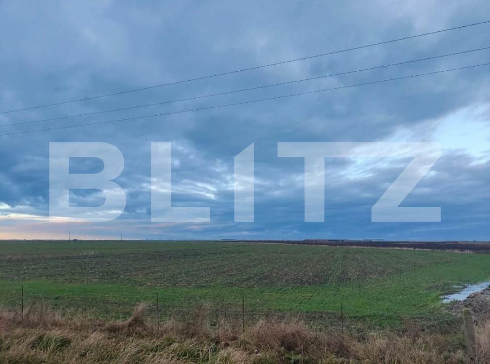 Teren de vânzare Exterior Sud - 140111TV | BLITZ Timișoara | Poza5