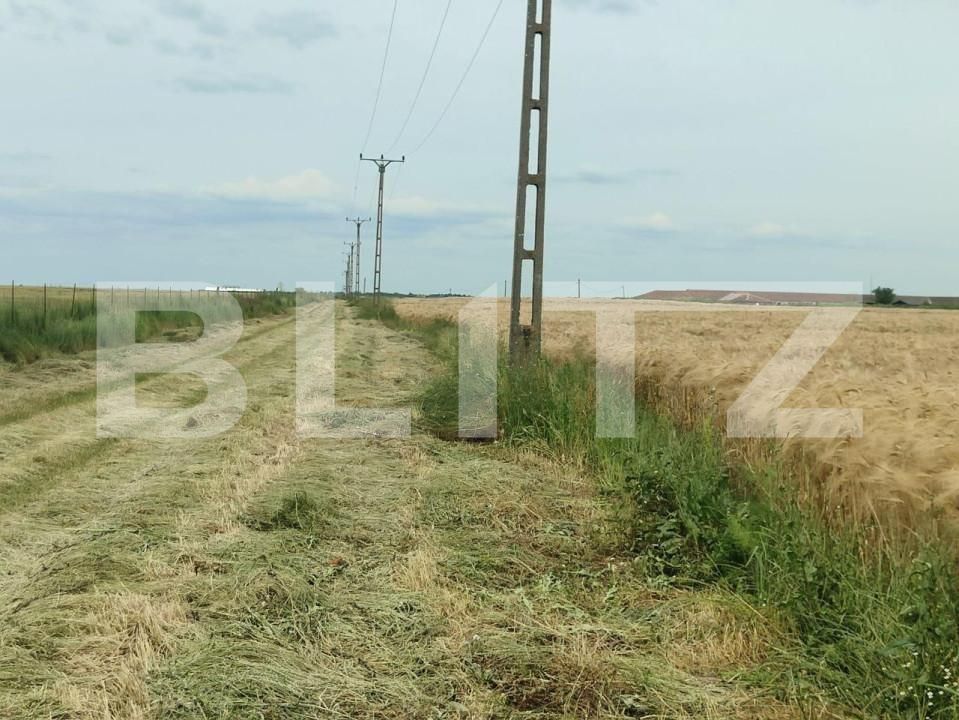 Teren de vânzare Exterior Sud - 140111TV | BLITZ Timișoara | Poza21