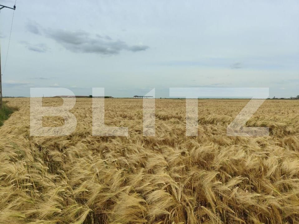 Teren de vânzare Exterior Sud - 140111TV | BLITZ Timișoara | Poza13